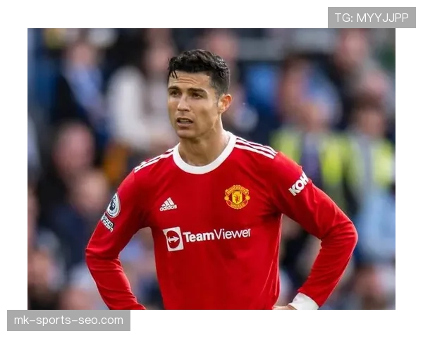 恩佐1亿转会费是否溢价？数据与赛场价值解析